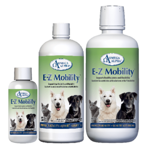 E-Z Mobility