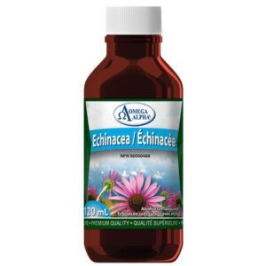 Echinacea Adult