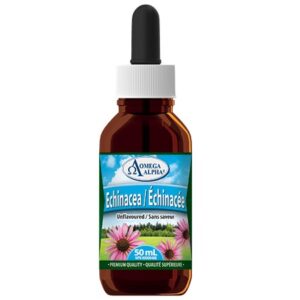 Echinacea Adult