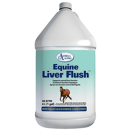 Equine Liver Flush