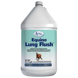 Equine Lung Flush