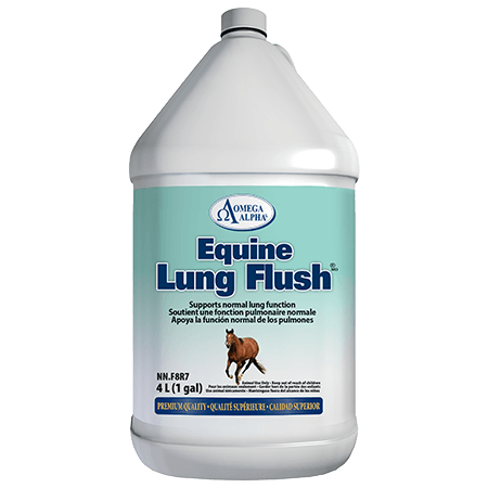 Equine Lung Flush