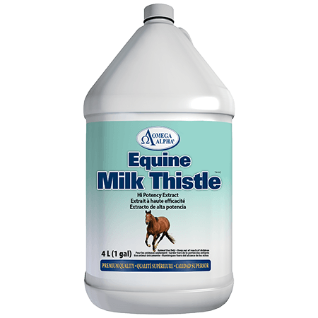 Equine Milk Thistle