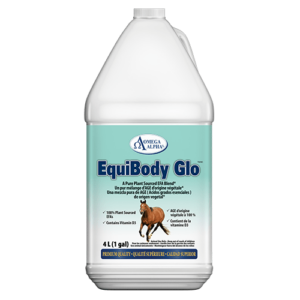 EquiBody Glo