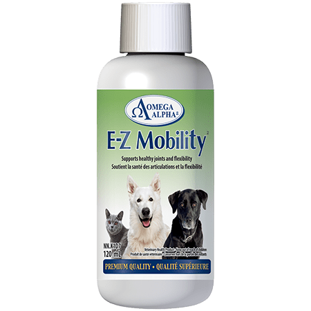 E-Z Mobility