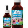 Echinacea Adult