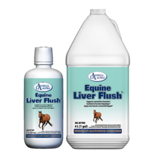 Equine Liver Flush