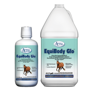 EquiBody Glo