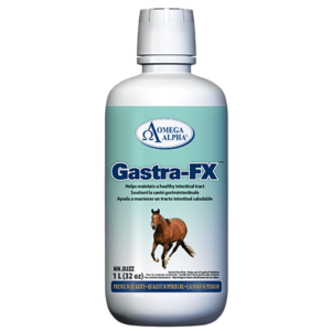 Gastra-FX