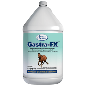 Gastra-FX