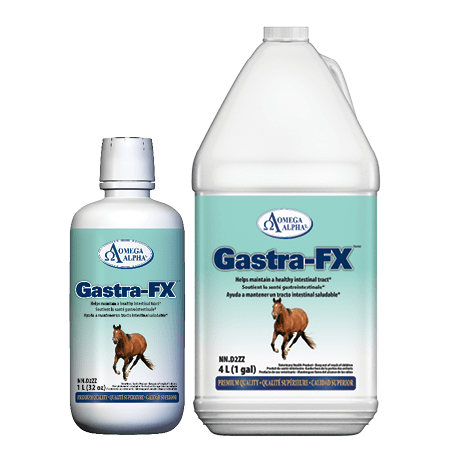 Gastra-FX