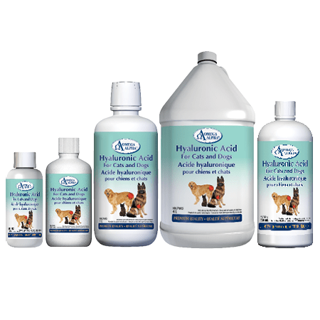 Hyaluronic Acid For Cats and Dogs
