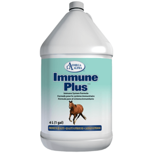 Immune Plus