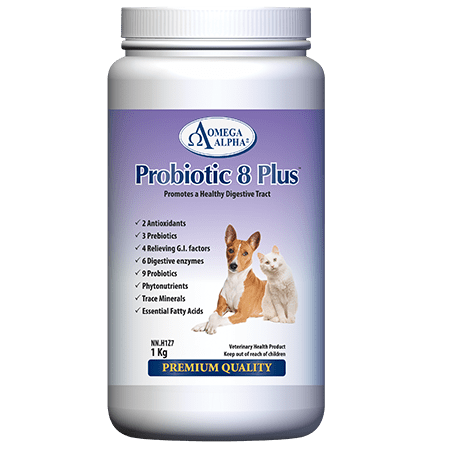 Probiotic 8 Plus