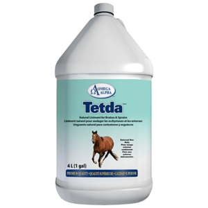 Equine Tetda