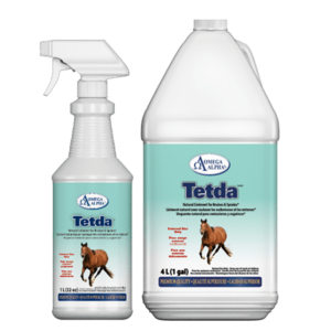 Equine Tetda