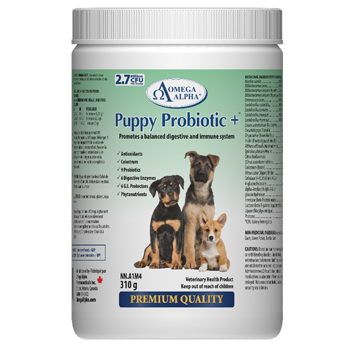 Puppy-Probiotic+-310g Puppy-Probiotic+-310g
