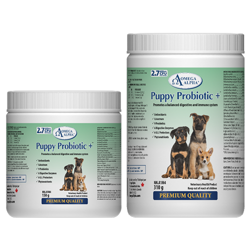 Puppy-Probiotic+-Group